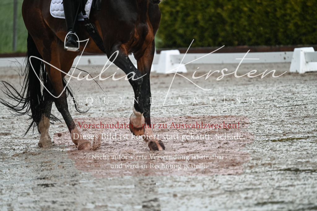 DSC_4175 | Pferde- und Turnierfotografie in Westsachsen. Pferdeportraits, Auftragszeichnungen und intuitive Kunst.