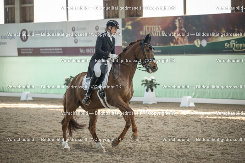 _D5A0598 | Emotionale Pferde- & People-Fotografie rund um Heidelberg, Leimen & Umgebung. Natürliche Fotos von Pferd, Mensch & Familie. Jetzt Termin sichern!