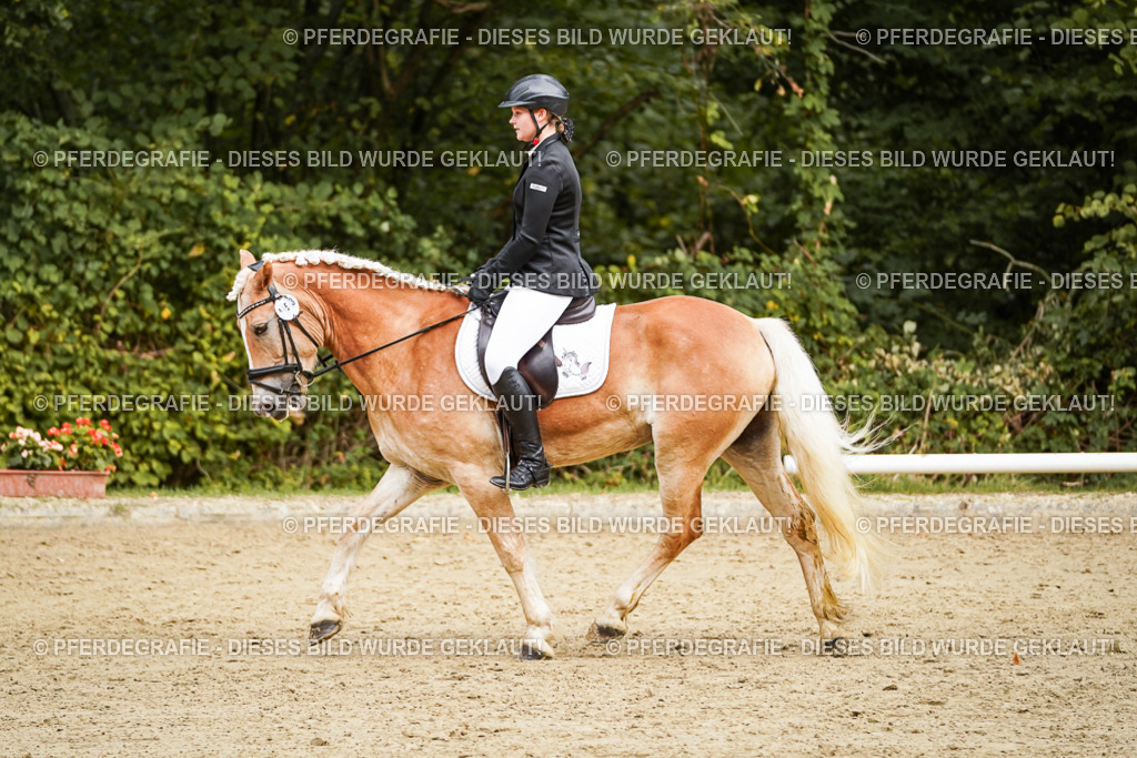 DSC00153 | Pferdegrafie