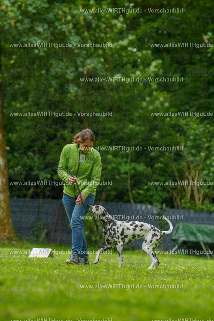 @allesWIRTHgut_Tierfotografie - www.allesWIRTHgut.de - 135248-7R500126 | Professionelle Tierfotografie in Mönchengladbach von Daniel Wirth (allesWIRTHgut). Liebevolle & natürliche Bilder von Hunden & Katzen für unvergessliche Erinnerungen.