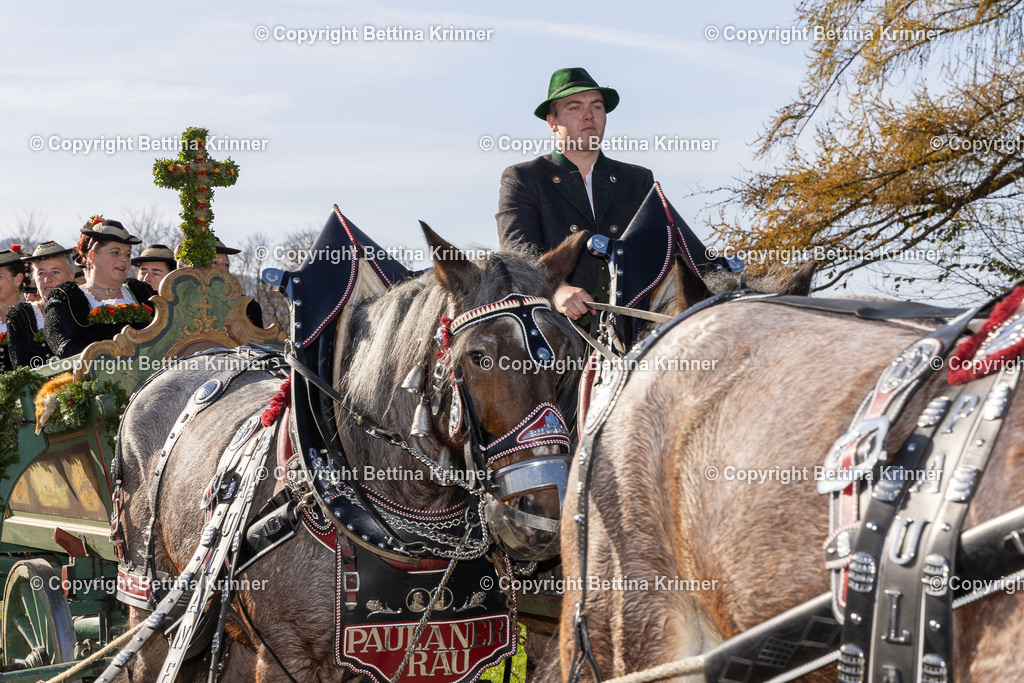 LBT24-1422 | foto-bettina-krinner - Realisiert mit Pictrs.com