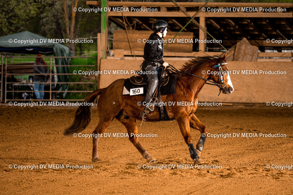 BAL01072 | dv-media-shop - Realisiert mit Pictrs.com