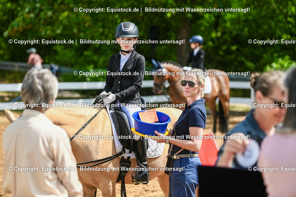 20230716_10-3_Reiter-WB Schritt - Trab - Galopp_0198 | equistock
