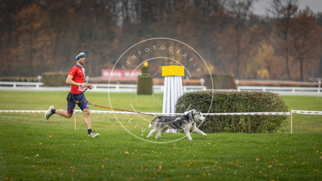 CaniXpix_DV3A9529 | Hundefotografie, Tierfotograf, Pfotenfotografie, Fotoshooting Hund, Hunde Portrait, Hundesport, Hundeportraits, Heideshooting, Hunde, Sportfotograf, Hundefotograf, Turnierhundsport, THS,  - Realisiert mit Pictrs.com