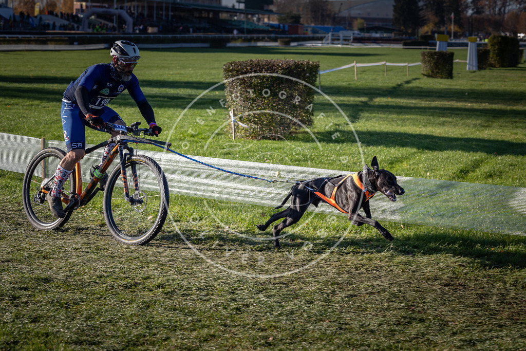 CaniXpix_0L8A4245 | Hundefotografie, Tierfotograf, Pfotenfotografie, Fotoshooting Hund, Hunde Portrait, Hundesport, Hundeportraits, Heideshooting, Hunde, Sportfotograf, Hundefotograf, Turnierhundsport, THS,  - Realisiert mit Pictrs.com