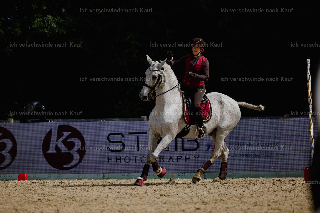 Kelly4_FHC2025-20259 | working equitationturnier fotograf videograf stoibphotography marixx film working equitation deutschland reitsport turnierfotografie eventfotografie equestrian events