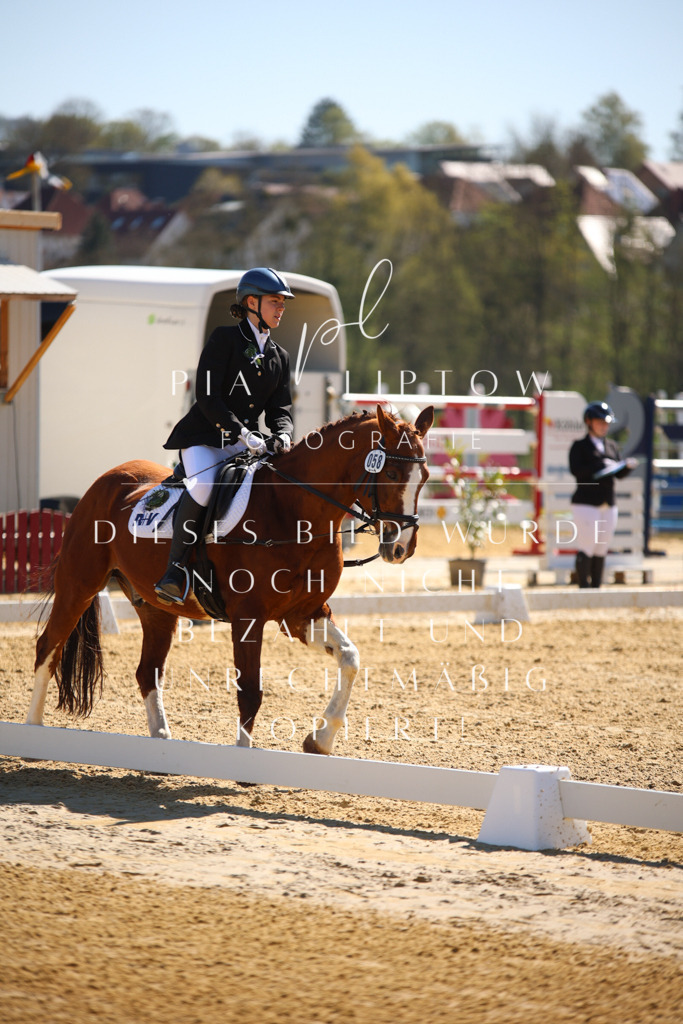 IMGT0543 | pl-fotografie