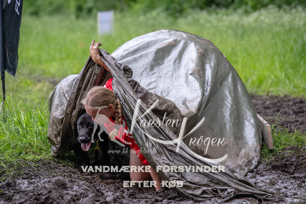 1630_ZZ94387 | kk-dogfotos