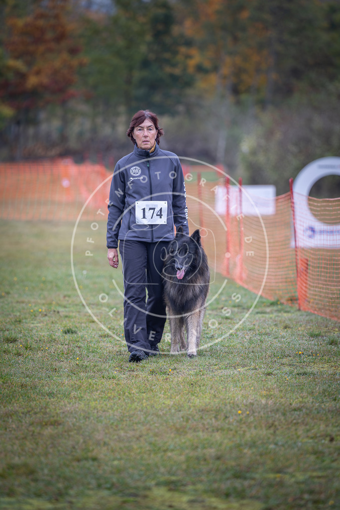 Pfotenfotografie_DV3A9239 | Hundefotografie, Tierfotograf, Pfotenfotografie, Fotoshooting Hund, Hunde Portrait, Hundesport, Hundeportraits, Heideshooting, Hunde, Sportfotograf, Hundefotograf, Turnierhundsport, THS,  - Realisiert mit Pictrs.com