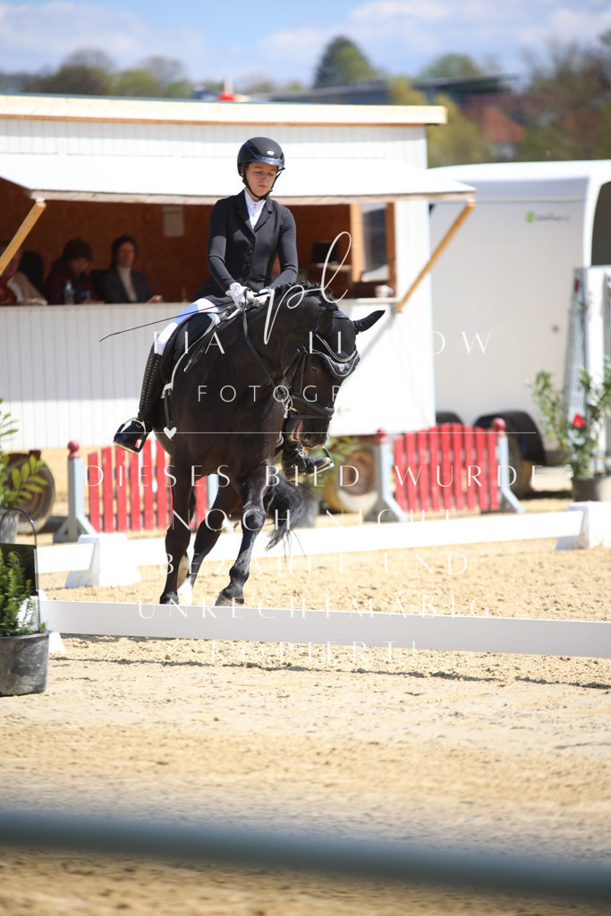 IMGT2639 | pl-fotografie