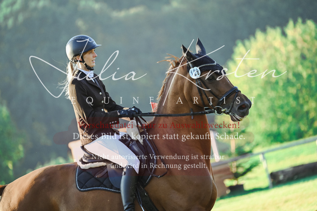 DSC_3920 | Pferde- und Turnierfotografie in Westsachsen. Pferdeportraits, Auftragszeichnungen und intuitive Kunst.