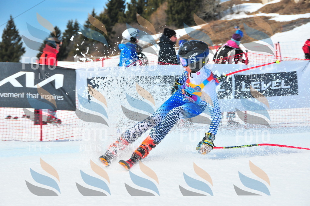 DSC_6758 | holidayphoto