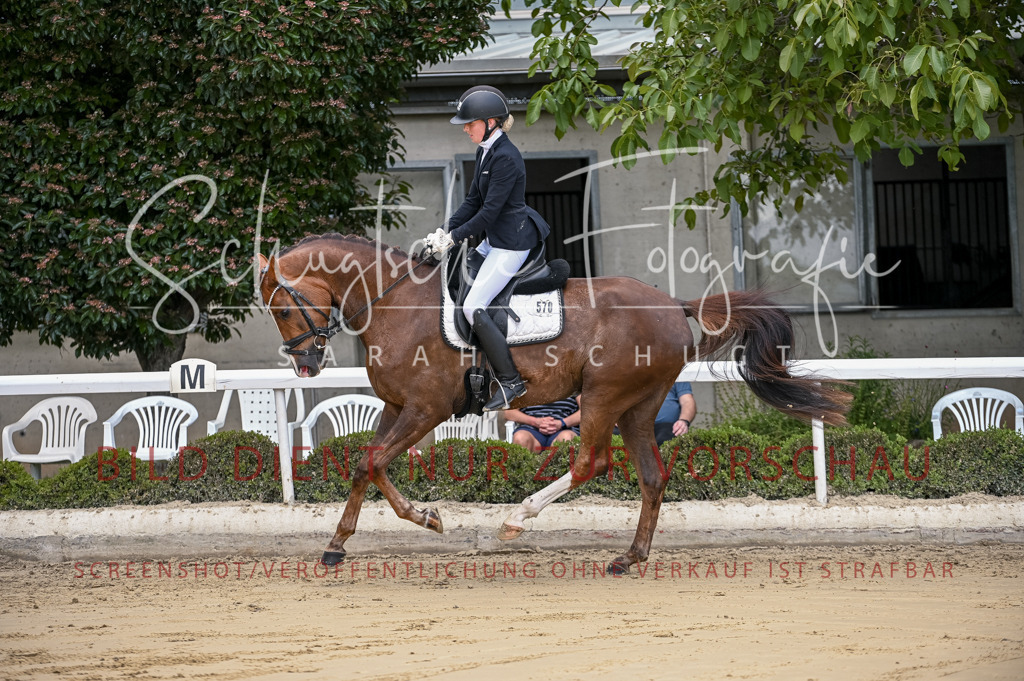 Schugtsche-Aluta25-48.Reitpferfdeprf.-97 | Schugtsche Fotografie - Realizzato con Pictrs.com
