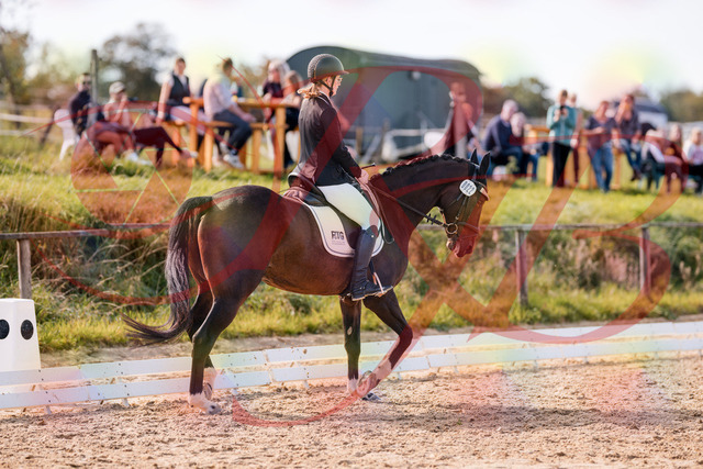 2026_10_03_Siefer-Hof_132530_Z81_76229763 | Professionelle Reitsport-, Turnier- und Eventfotografie von Robert Broda. Galerien mit ausgewählten und bearbeiteten Bildern direkt online ansehen und bestellen.