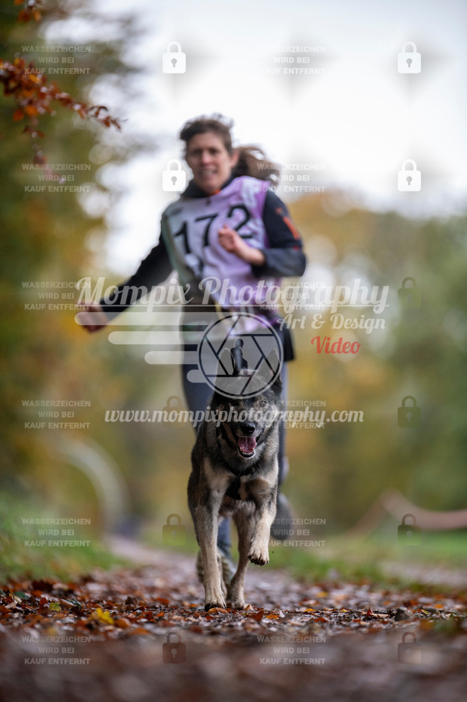 DBT_DAKM_SA_4_11_2023_Canicross-124 | PayLife