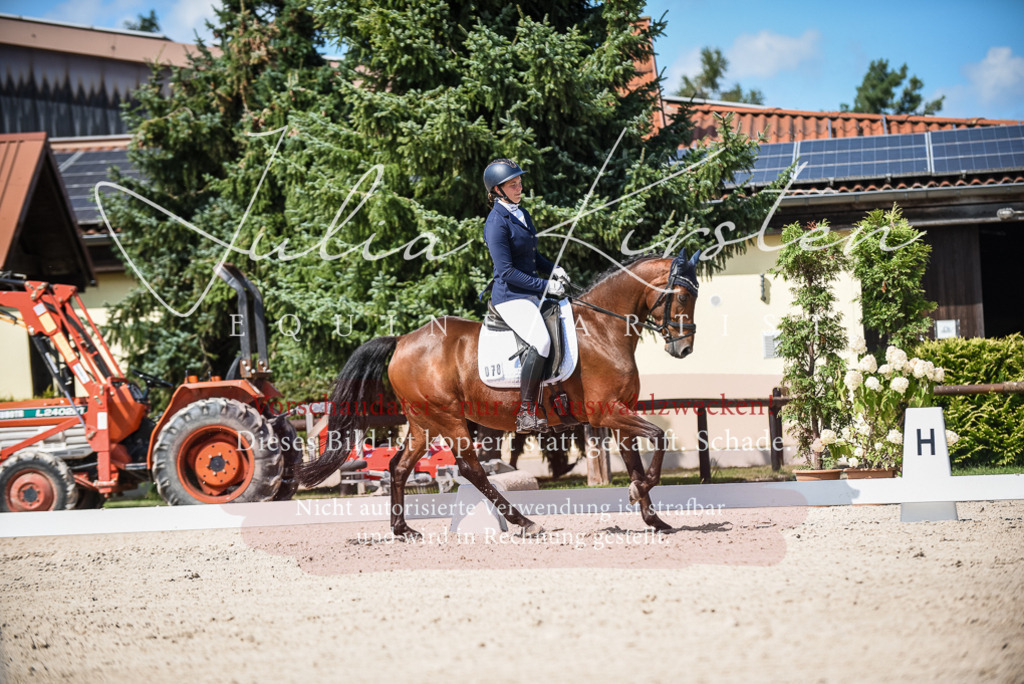 DSC_9453 | Pferde- und Turnierfotografie in Westsachsen. Pferdeportraits, Auftragszeichnungen und intuitive Kunst.
