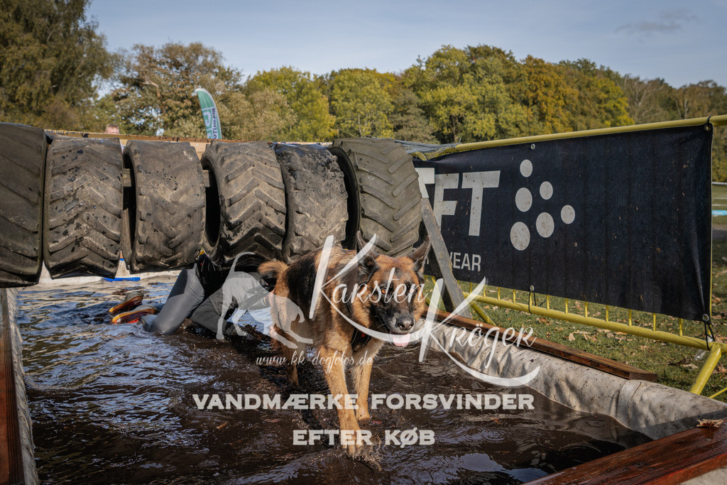 1404_ZZ93952 | kk-dogfotos