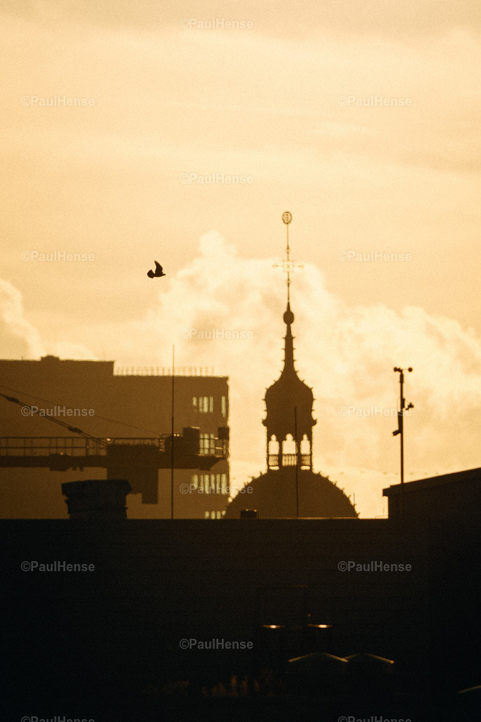 20221116_PaulHense_S0011_DSC04601 | paulhense - Realisiert mit Pictrs.com