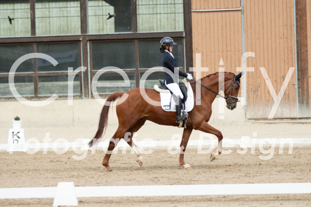 IMG_4423 | Creatify Fotografie