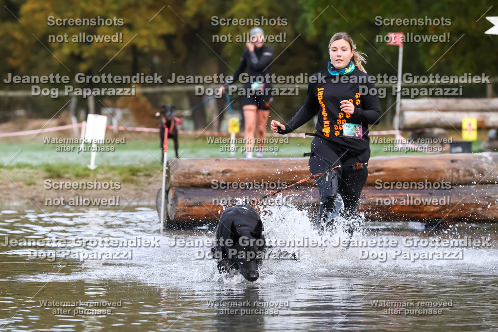 Dog Paparazzi - Strongdog 10-25-6273 | Dog Paparazzi Jeanette Grottendiek Fotografie & Videografie - Realisiert mit Pictrs.com