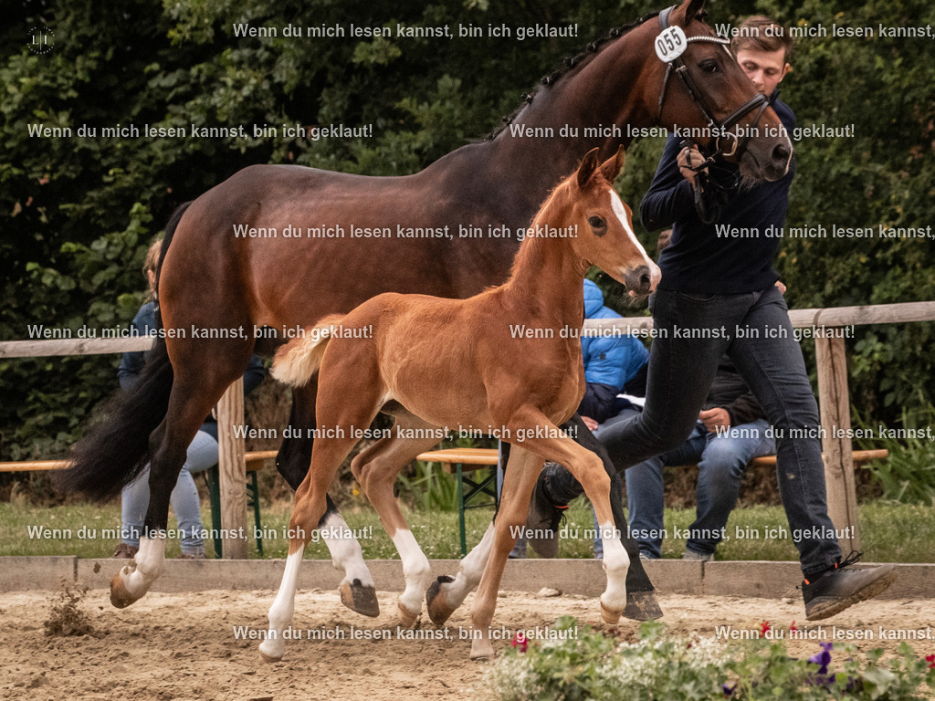 A10I5502 | photographylinaismer - Realisiert mit Pictrs.com