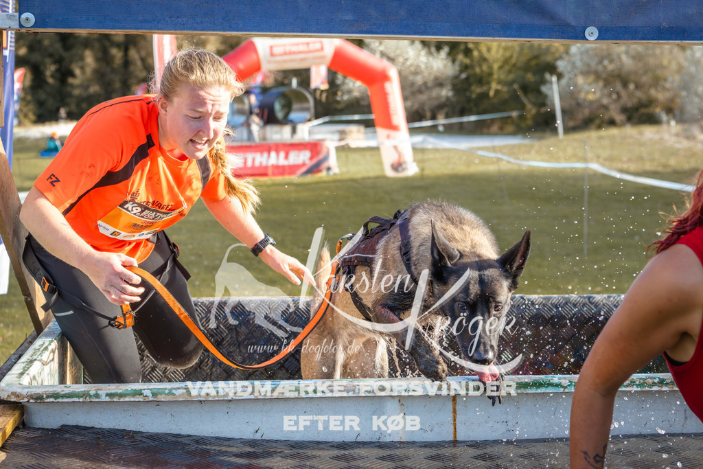 1452_ZZ95243-2 | kk-dogfotos