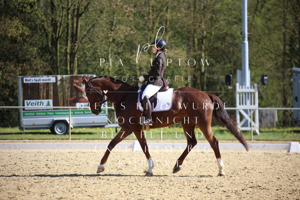 IMGT8578 | pl-fotografie