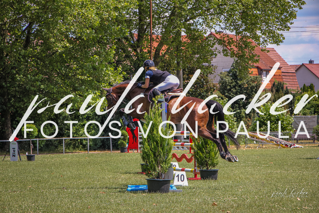 IMG_9294 | Erleben Sie dynamische Sport- und emotionale Tierfotografie in Süddeutschland mit Fotos von Paula. Spezialisiert auf Pferde- und Hundefotografie sowie Sportevents. Kontaktieren Sie mich für einzigartige und ausdrucksstarke Bilder Ihrer besonderen Momente. - Realisiert mit Pictrs.com