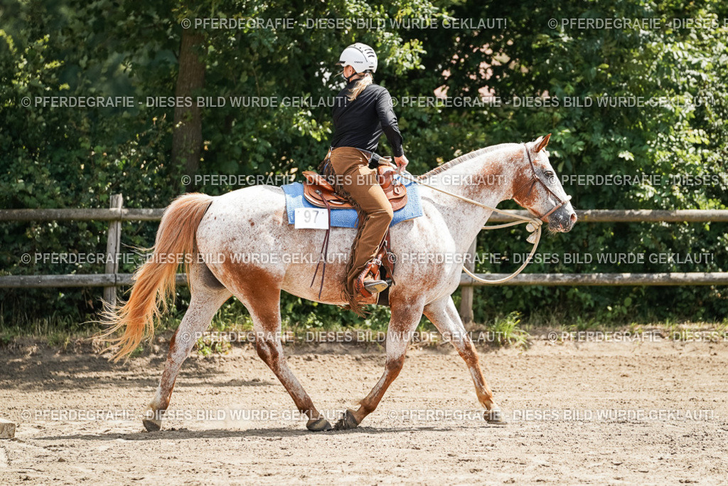 DSC06419 | Pferdegrafie