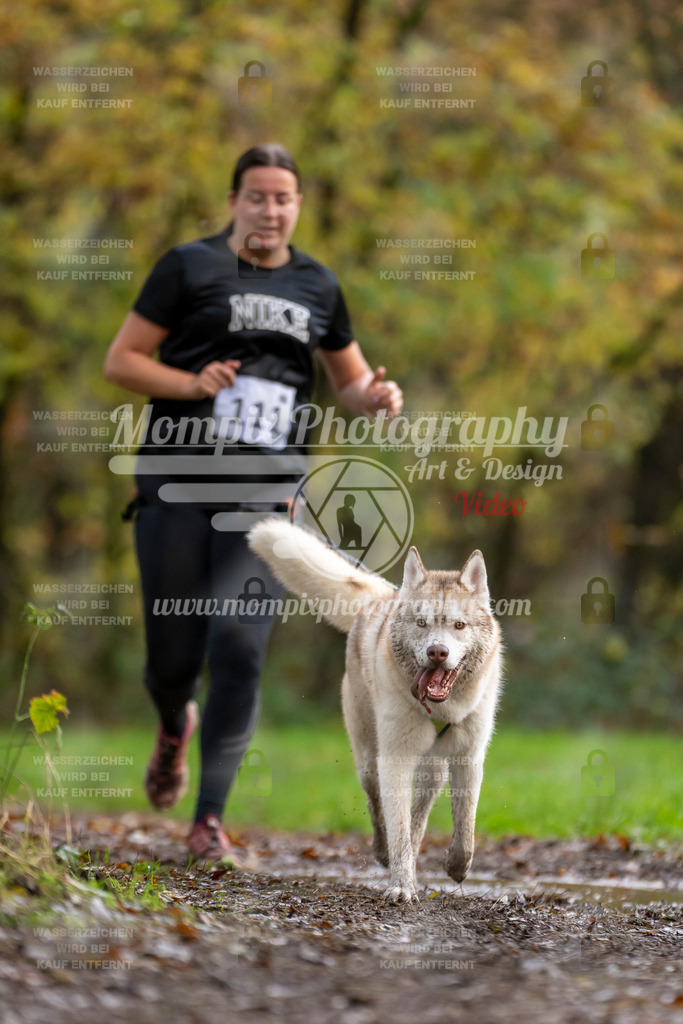 MompixPhotography_Bischwiller23_Canicross-98 | PayLife