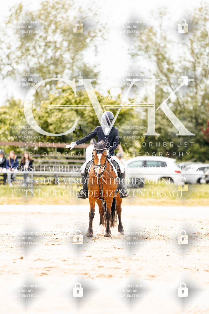 CK902749 | Turnierfotografie Pferdefotografie Trier Rheinland-Pfalz Pferdesport Reitsport Tierfotografie Sportfotografie Pferdevideo Pferdevideografie Equestrianvideography equestrianphotography  - Realisiert mit Pictrs.com