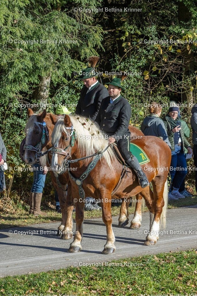 LBT25-239 | foto-bettina-krinner - Realisiert mit Pictrs.com