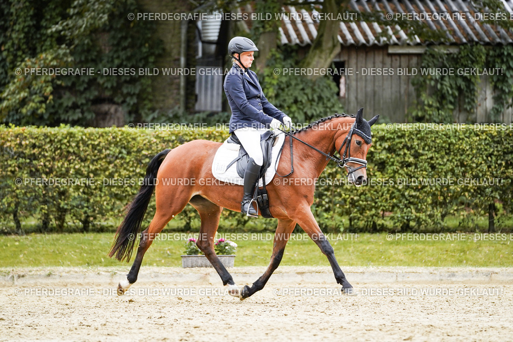 DSC01359 | Pferdegrafie