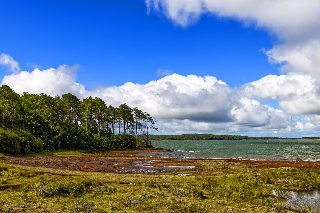 1H5A1473 | ansichtssache