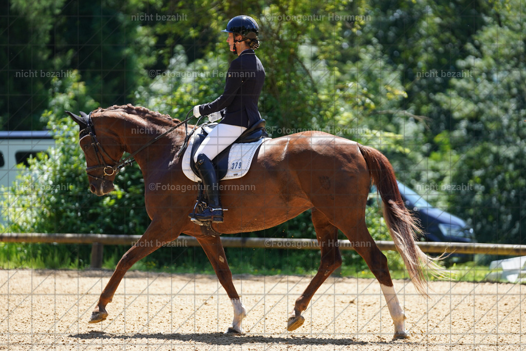 20240705-FAH03786 | Turnierbilder von Grafing, Reitsportbilder, Turnierfotos, Turnierfotografen Bayern, Pferdefotograf, Fotoagentur Herrmann