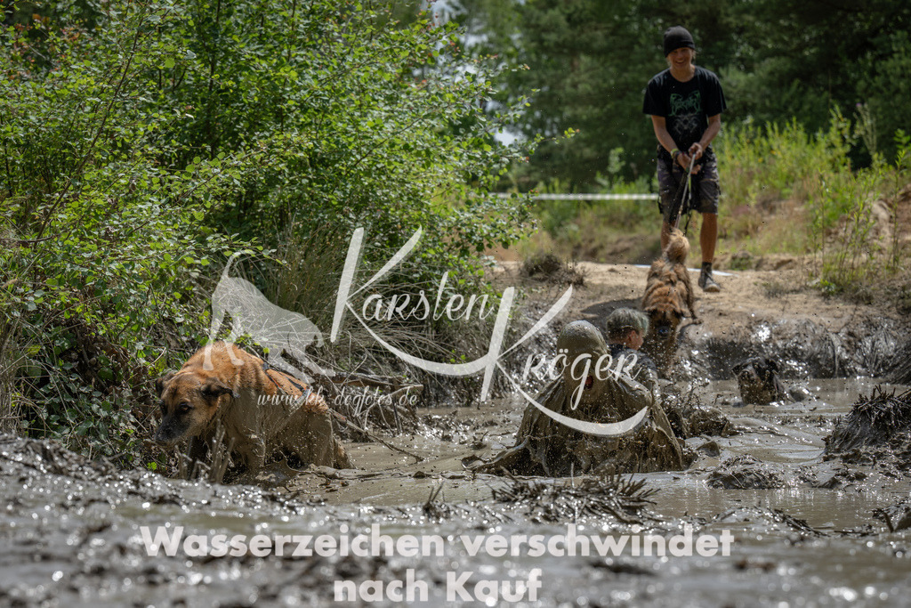 1437_ZZ93394 | kk-dogfotos