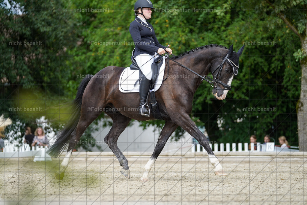 20230826-FAH05251 | Forstinning, 2023, Dressurturnier, Turniersportbilder, Turnierfotografen Bayern, Fotoagentur Herrmann, Reitsportfotografie, Turnierbilder