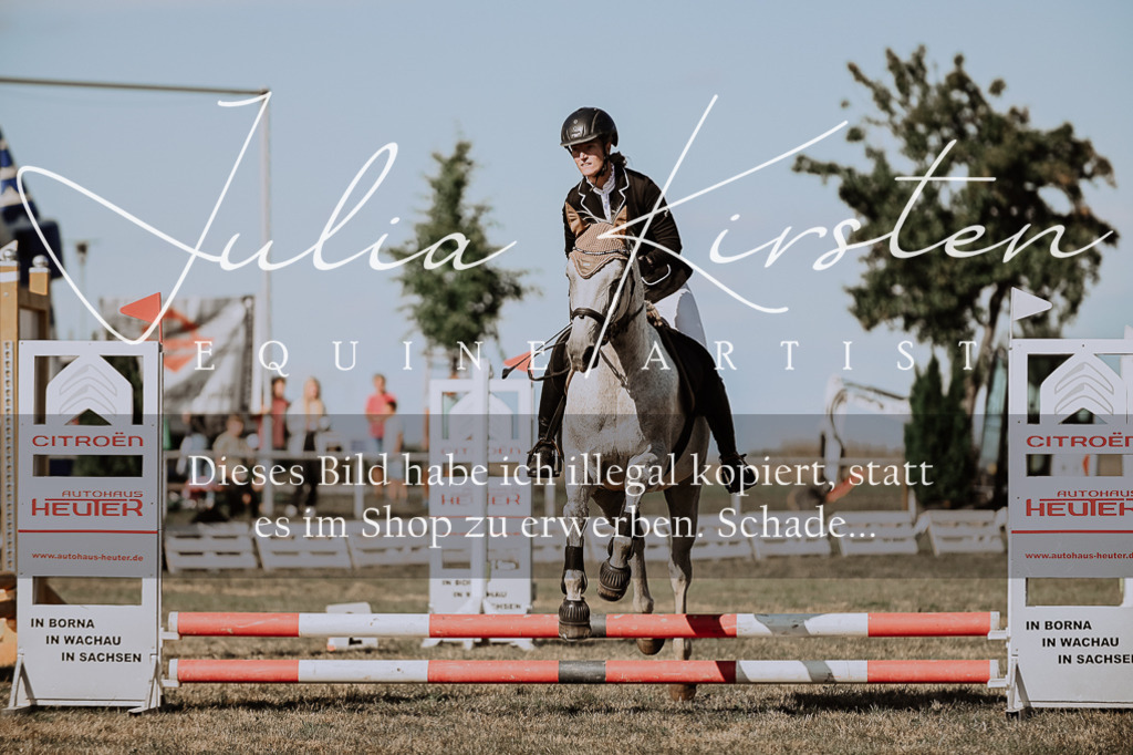 DSC_9504 | Pferde- und Turnierfotografie in Westsachsen. Pferdeportraits, Auftragszeichnungen und intuitive Kunst.
