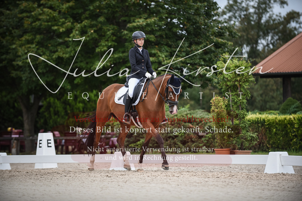 DSC_8418 | Pferde- und Turnierfotografie in Westsachsen. Pferdeportraits, Auftragszeichnungen und intuitive Kunst.