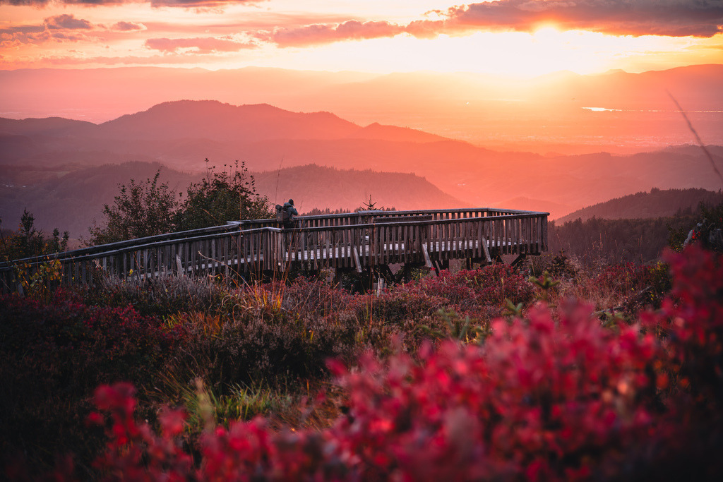Aussichtsplattform Steinmäuerle am Schliffkopf | Abendstimmung an der Aussichtsplattform Steinmäuerle am Schliffkopf im Nordschwarzwald - Realisiert mit Pictrs.com
