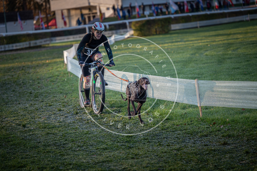 CaniXpix_0L8A1674 | Hundefotografie, Tierfotograf, Pfotenfotografie, Fotoshooting Hund, Hunde Portrait, Hundesport, Hundeportraits, Heideshooting, Hunde, Sportfotograf, Hundefotograf, Turnierhundsport, THS,  - Realisiert mit Pictrs.com