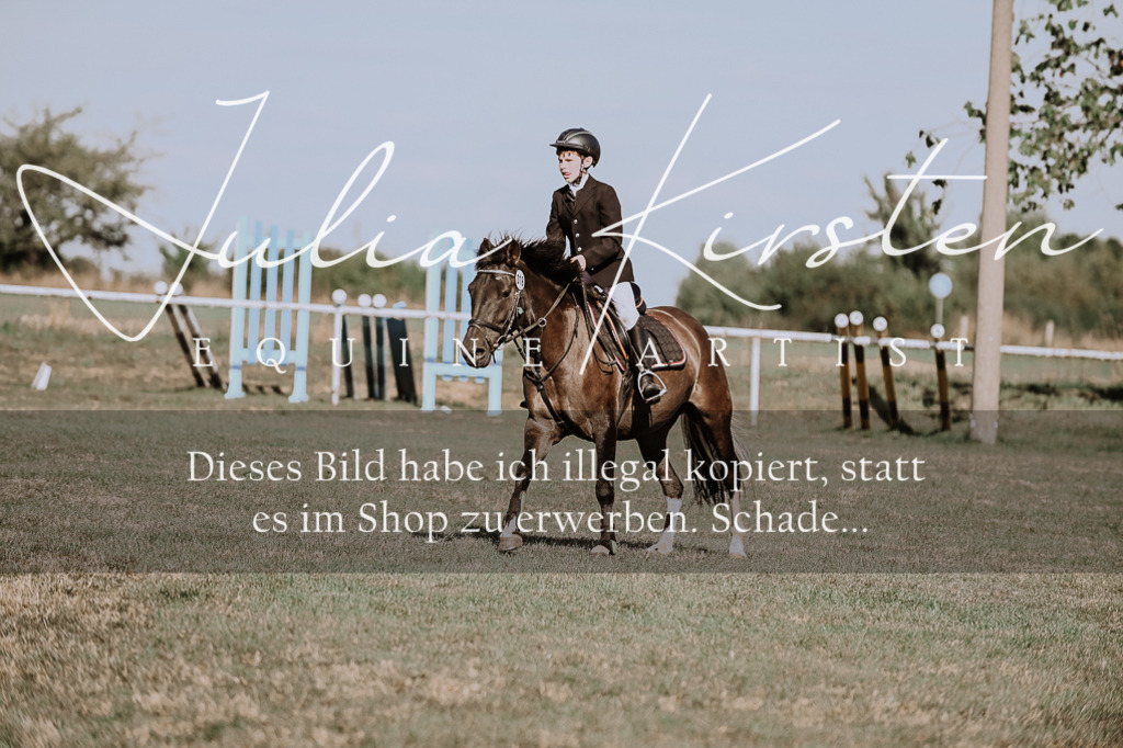 DSC_9474 | Pferde- und Turnierfotografie in Westsachsen. Pferdeportraits, Auftragszeichnungen und intuitive Kunst.