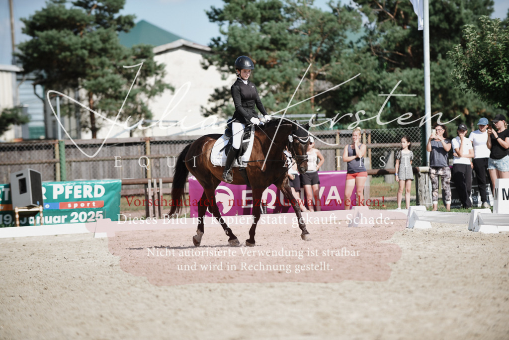 DSC_9909 | Pferde- und Turnierfotografie in Westsachsen. Pferdeportraits, Auftragszeichnungen und intuitive Kunst.
