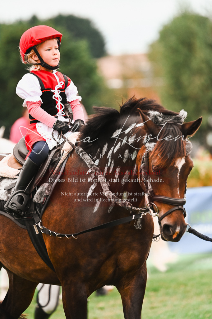 DSC_7439 | Pferde- und Turnierfotografie in Westsachsen. Pferdeportraits, Auftragszeichnungen und intuitive Kunst.