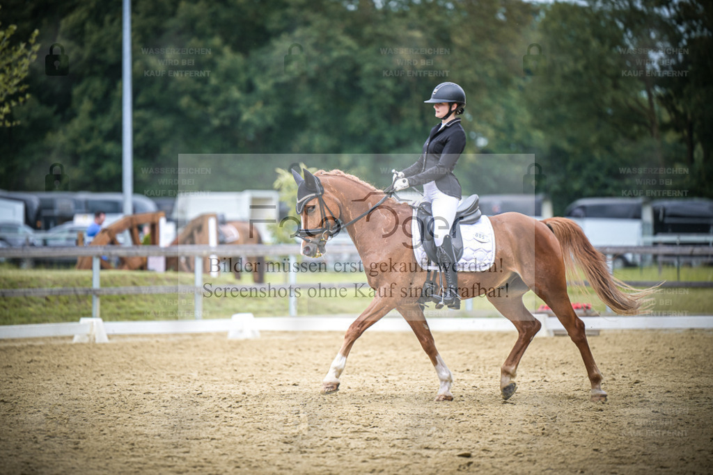 DOS_7012 | Entdecke hochwertige Reitturnierfotos von Foto Oger. Professionell, emotional und authentisch – jetzt Lieblingsmomente im Shop bestellen. - Realisiert mit Pictrs.com