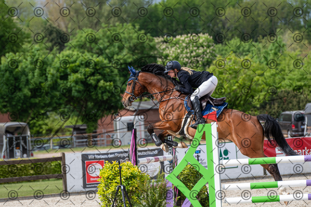 KPT_0202 | andre_photographic