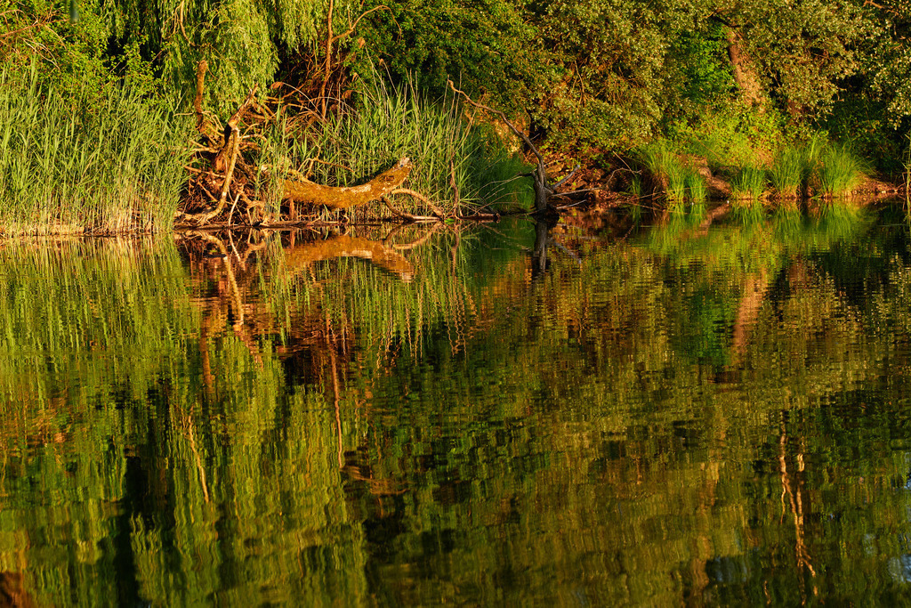 Uferlandschaft Schleienloch im Abendlicht | Hard, Vorarlberg - May 26, 2022: Uferlandschaft Schleienloch im Abendlicht. - Realisiert mit Pictrs.com