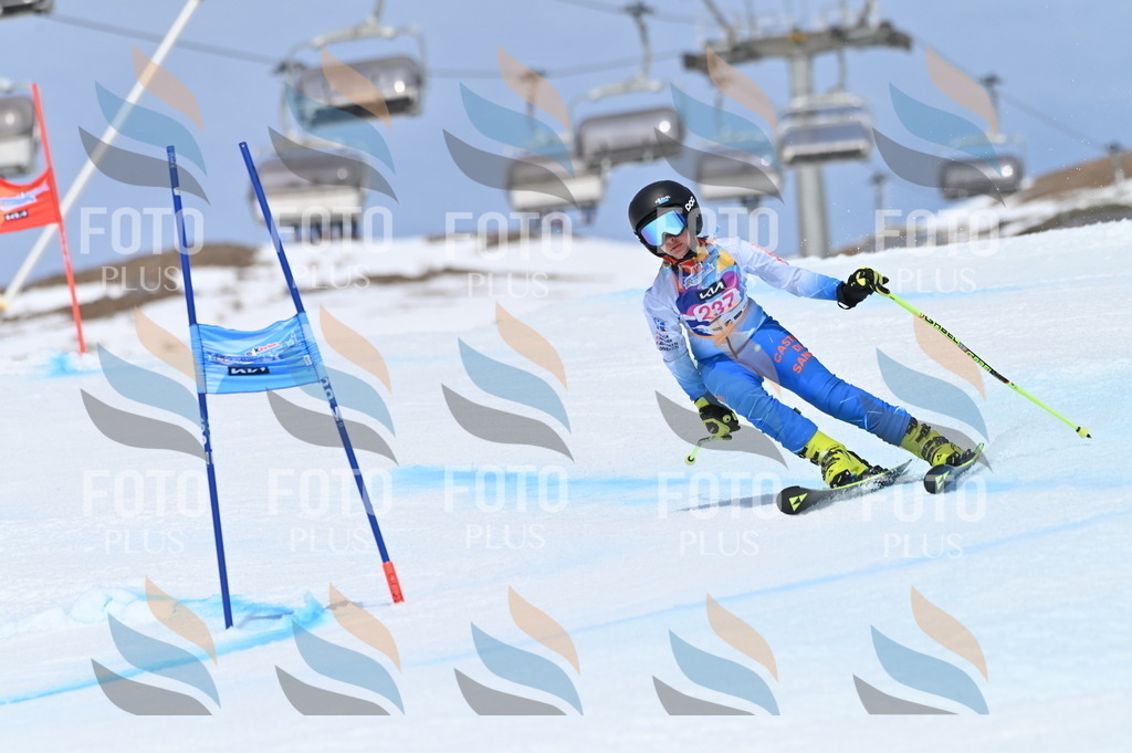 BGV_1645 | holidayphoto