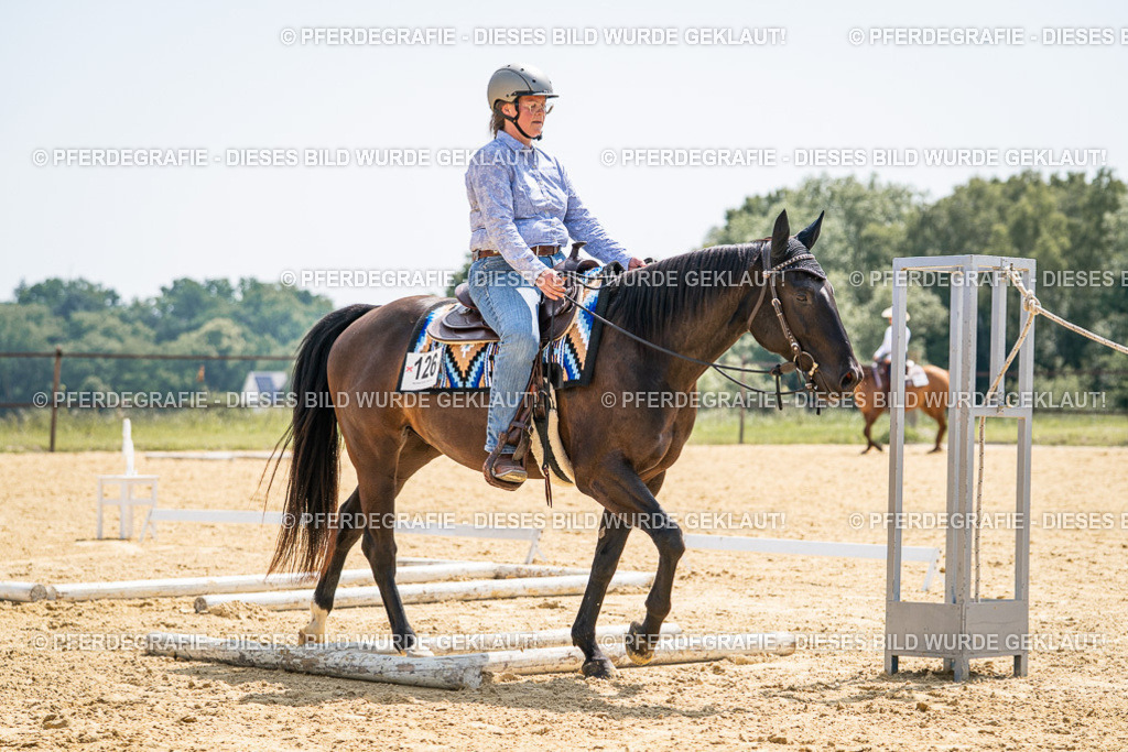 DSC00667 | Pferdegrafie