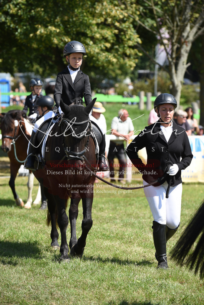 DSC_9751 | Pferde- und Turnierfotografie in Westsachsen. Pferdeportraits, Auftragszeichnungen und intuitive Kunst.